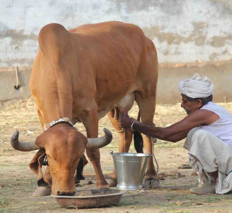 Fresh milk product closeup